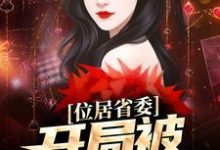 位居省委,开局被妻子举报黎锦苏玉,位居省委,开局被妻子举报在线无弹窗阅读-经典文学
