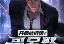开局被退婚?哥另娶白富美(楚风甄姬)在线免费阅读-经典文学