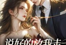 完结版《说好的放我走，你咋又锁门了》免费阅读-经典文学