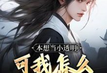 已完结小说《本想当小透明，可我怎么无敌了！》章节在线阅读-经典文学