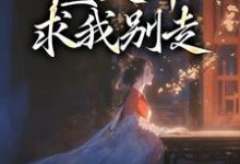 陆知苒楚翊安小说《我进宫和离,渣夫却求我别走》在线阅读-经典文学