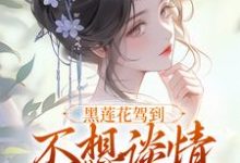 黑莲花驾到，不想谈情只想晋升小说全文哪里可以免费看？-经典文学