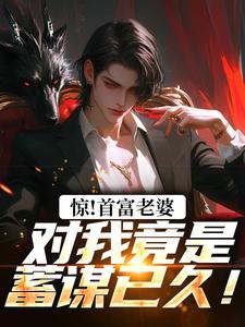 惊！首富老婆对我竟是蓄谋已久！小说，惊！首富老婆对我竟是蓄谋已久！叶安