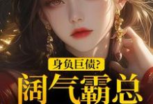 在线免费阅读身负巨债?阔气霸总随手解决!完整小说-经典文学