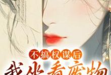 不搞权谋后,我坐看废物儿女作死小说最新更新在哪里?免费在线看-经典文学