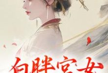 《白胖宫女，误惹君心》小说阿知韩衍章节章节免费在线阅读-经典文学