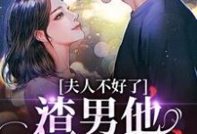 小说《夫人不好了!渣男他要求爱》章节阅读-经典文学
