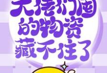 抢穿末日：大佬们囤的物资藏不住了小说最新更新在哪里？免费在线看-经典文学