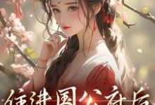 完结版《住进国公府后，我成了香饽饽！》在线免费阅读-经典文学
