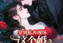 穿到私奔现场，这个婚离不了一点免费阅读，穿到私奔现场，这个婚离不了一点章节在线阅读-经典文学
