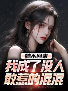 已完结小说《她不回来，我成了没人敢惹的混混》章节在线阅读