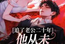已完结小说《追了老公二十年,他从未认真对待我》最新章节-经典文学