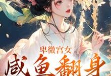 哪里能找到卑微宫女,咸鱼翻身成宠妃小说的最新更新和免费章节?-经典文学