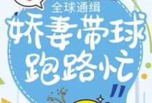 全球通缉:娇妻带球跑路忙小说,全球通缉:娇妻带球跑路忙章节在线阅读-经典文学