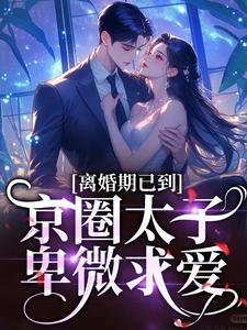 沈青瓷席星野小说完结版在线阅读，离婚期已到！京圈太子卑微求爱免费看
