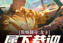 赘婿翻身：龙主，属下恭迎您归位叶尘林含雪，赘婿翻身：龙主，属下恭迎您归位在线无弹窗阅读-经典文学