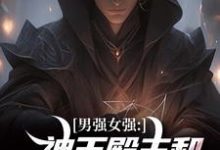 在线免费阅读男强女强:神王殿主和女特工闪婚了完整小说-经典文学