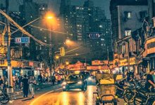 已完结小说《江夜渔火明灭》章节在线阅读-经典文学