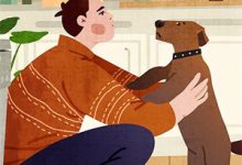 一见青山云端月小说的无弹窗阅读体验，寻找免费阅读网站-经典文学